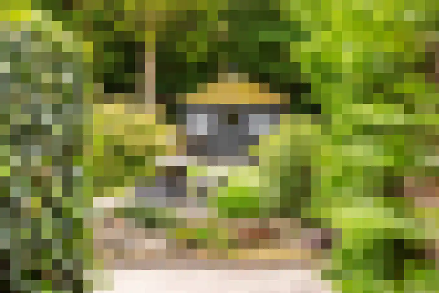Jonkerstee 227 Ouddorp thumbnail 6
