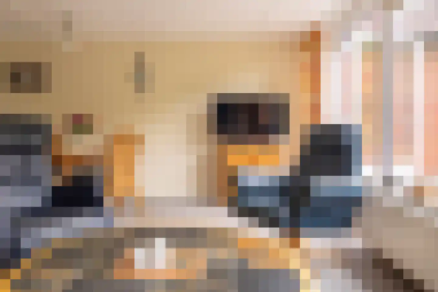 Jonkerstee 227 Ouddorp thumbnail 9