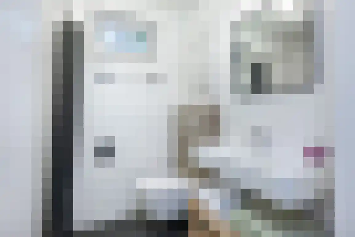 Jonkerstee 24 Ouddorp thumbnail 17