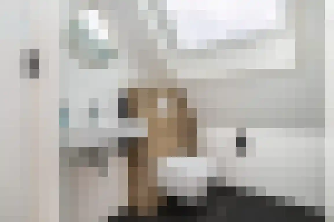 Jonkerstee 24 Ouddorp thumbnail 26