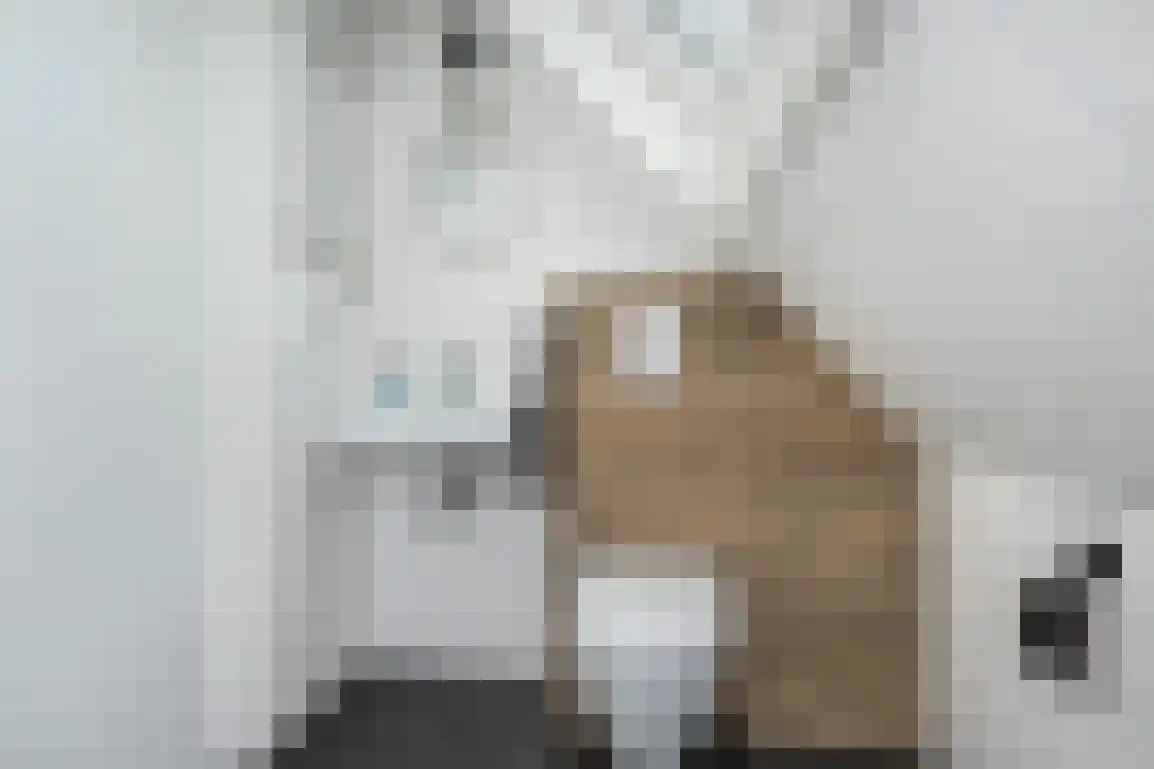 Jonkerstee 24 Ouddorp thumbnail 28