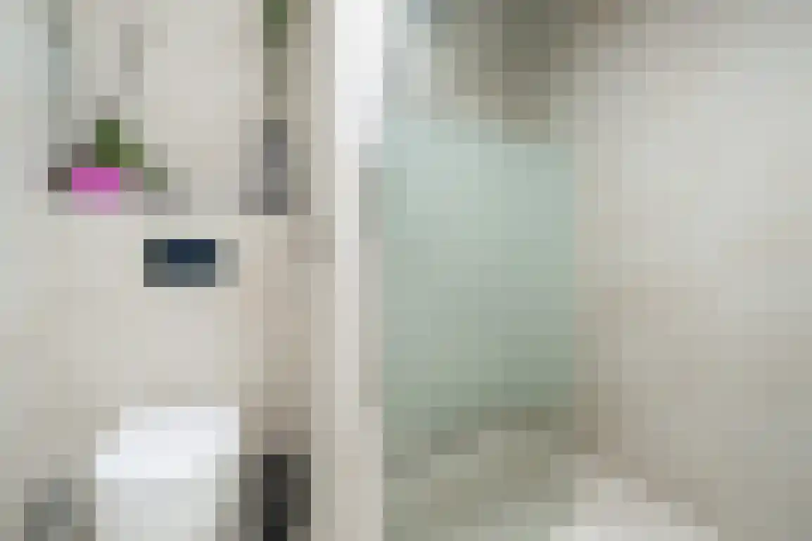 Jonkerstee 44 Ouddorp thumbnail 16