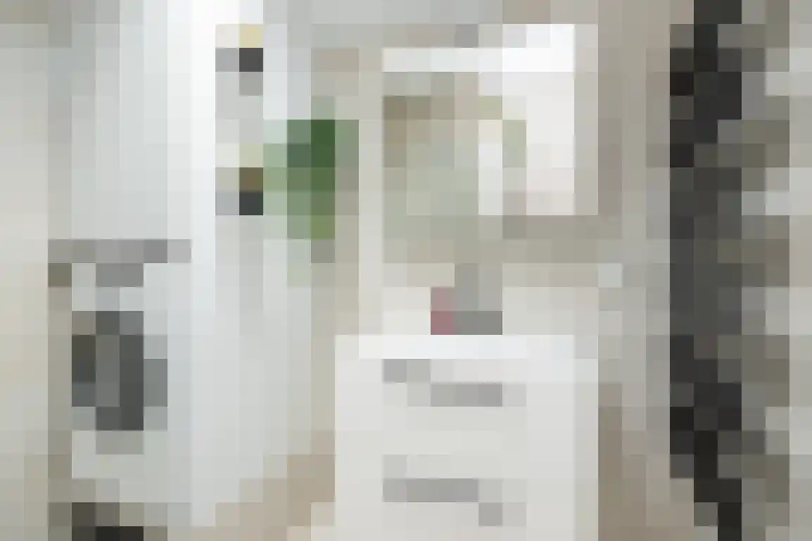 Jonkerstee 44 Ouddorp thumbnail 17