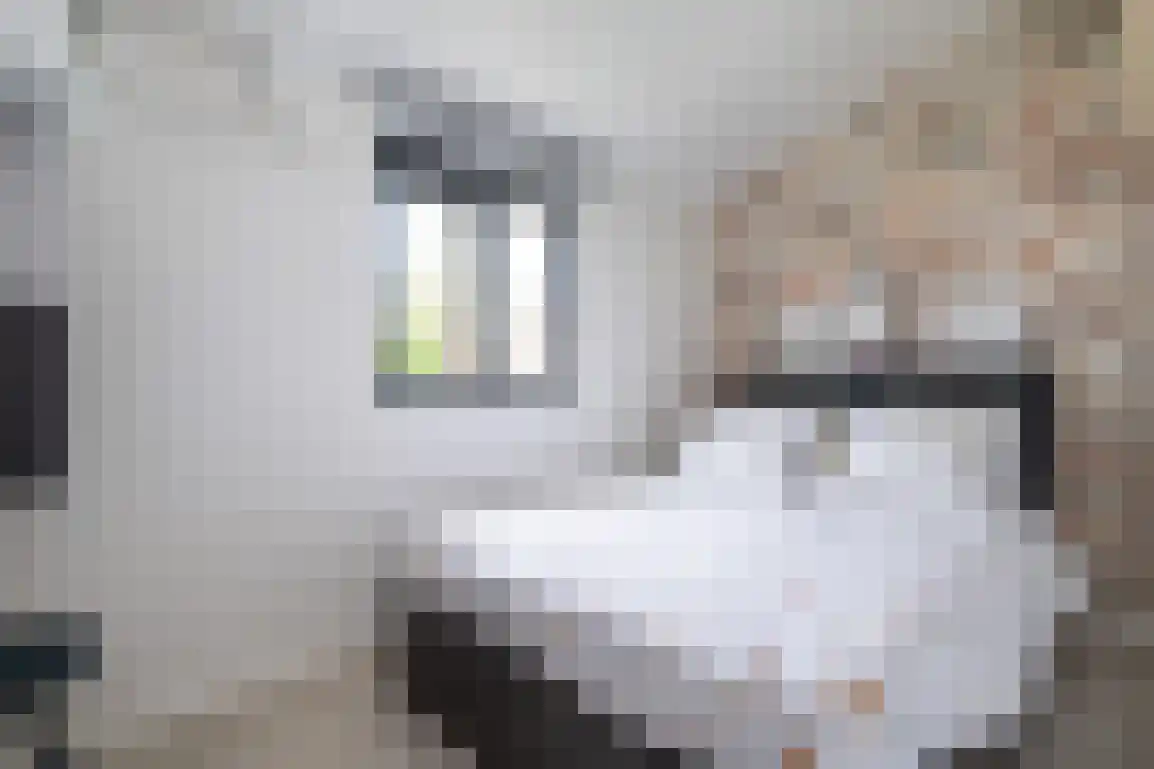 Jonkerstee 44 Ouddorp thumbnail 19
