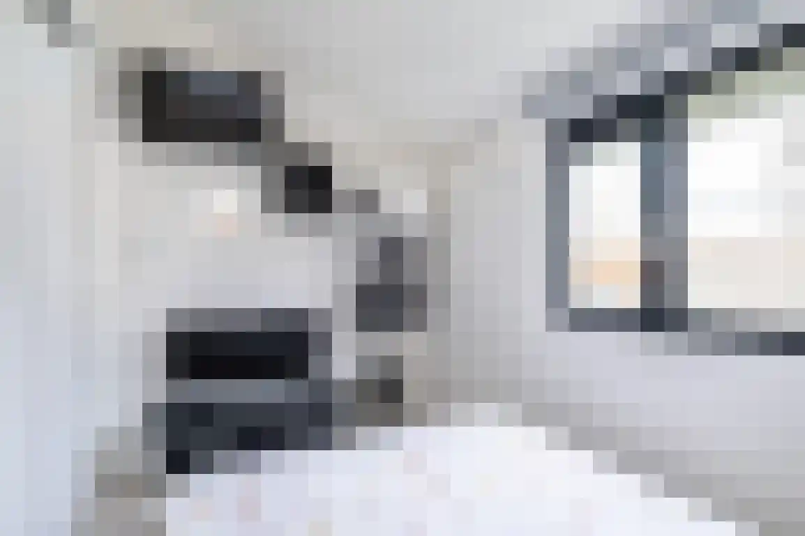 Jonkerstee 44 Ouddorp thumbnail 20