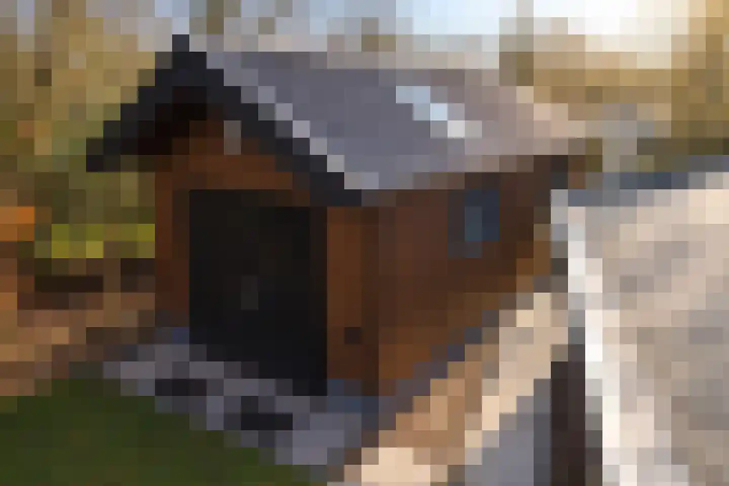 Jonkerstee 44 Ouddorp thumbnail 24