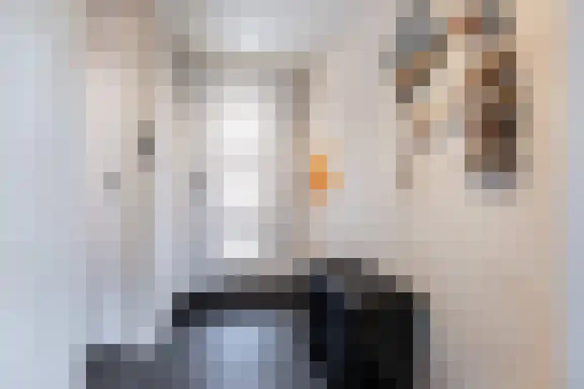 Jonkerstee 44 Ouddorp thumbnail 5