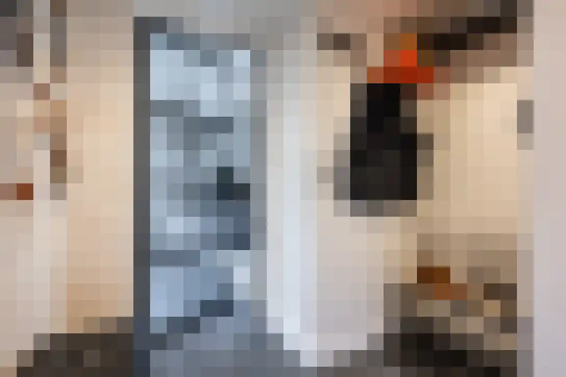 Jonkerstee 44 Ouddorp thumbnail 6