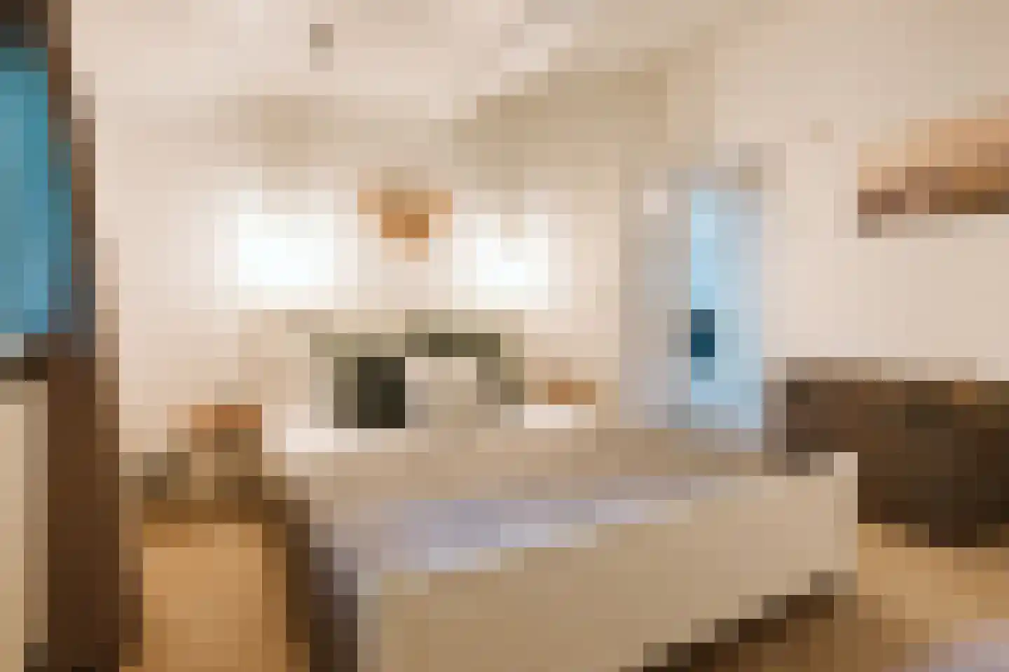 Jonkerstee 50 Ouddorp thumbnail 13