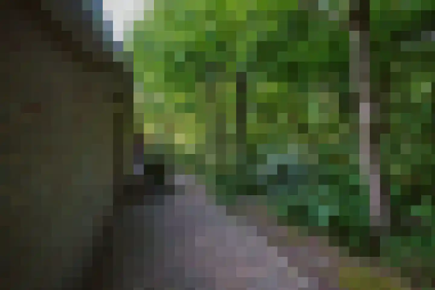 Jonkerstee 50 Ouddorp thumbnail 37