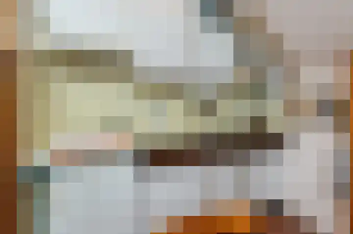 Jonkerstee 60 Ouddorp thumbnail 12