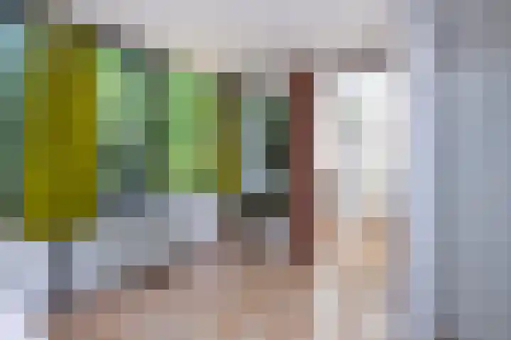 Jonkerstee 60 Ouddorp thumbnail 15