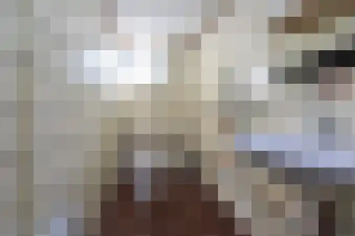 Jonkerstee 60 Ouddorp thumbnail 18