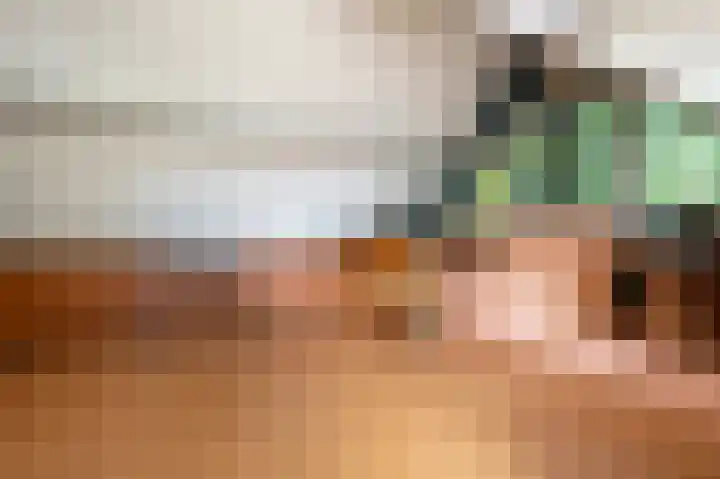 Jonkerstee 60 Ouddorp thumbnail 20
