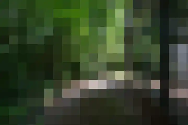 Jonkerstee 60 Ouddorp thumbnail 22