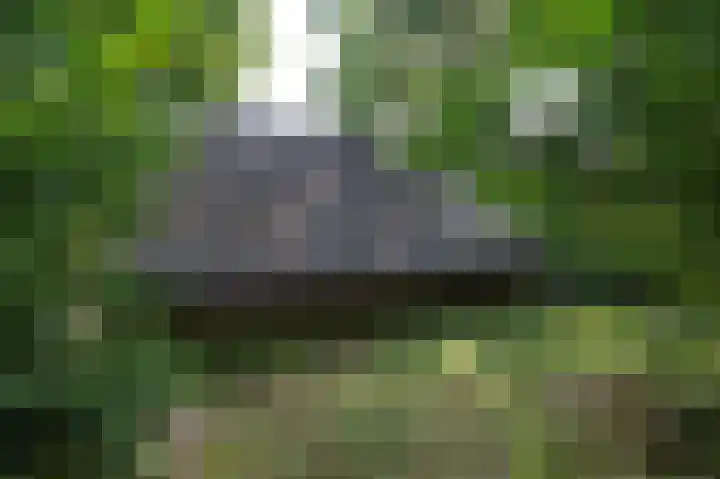 Jonkerstee 60 Ouddorp thumbnail 23