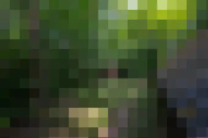 Jonkerstee 60 Ouddorp thumbnail 24