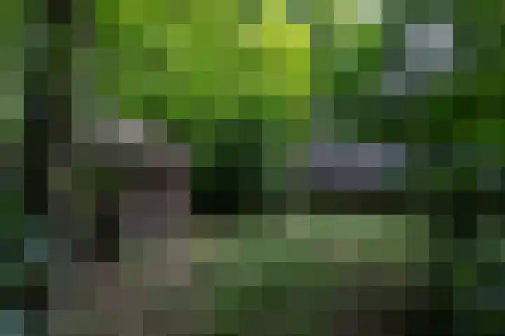 Jonkerstee 60 Ouddorp thumbnail 25