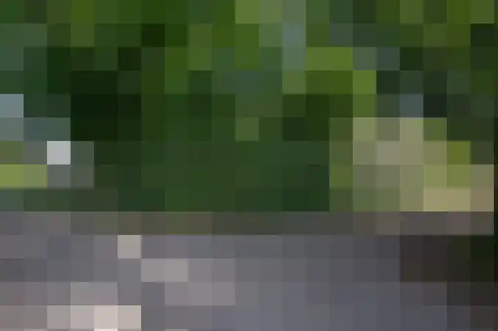 Jonkerstee 60 Ouddorp thumbnail 26
