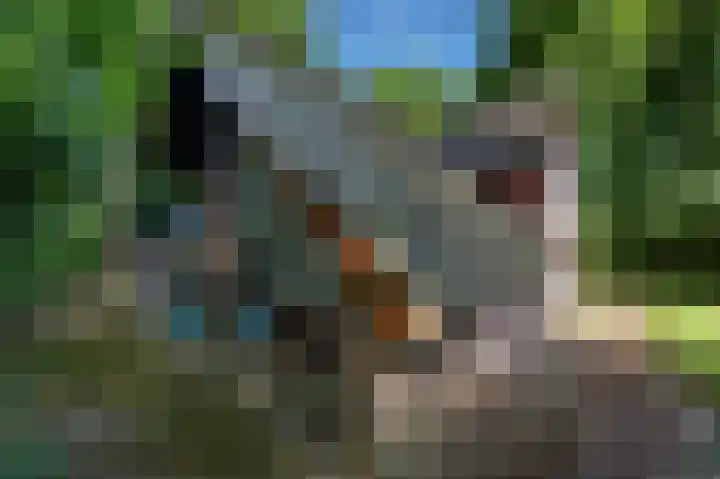 Jonkerstee 60 Ouddorp thumbnail 28