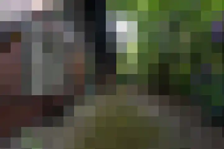 Jonkerstee 60 Ouddorp thumbnail 5