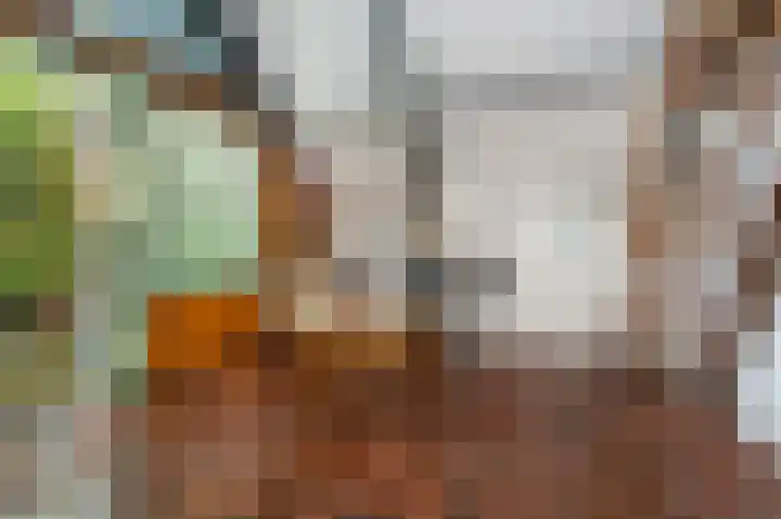 Jonkerstee 60 Ouddorp thumbnail 7