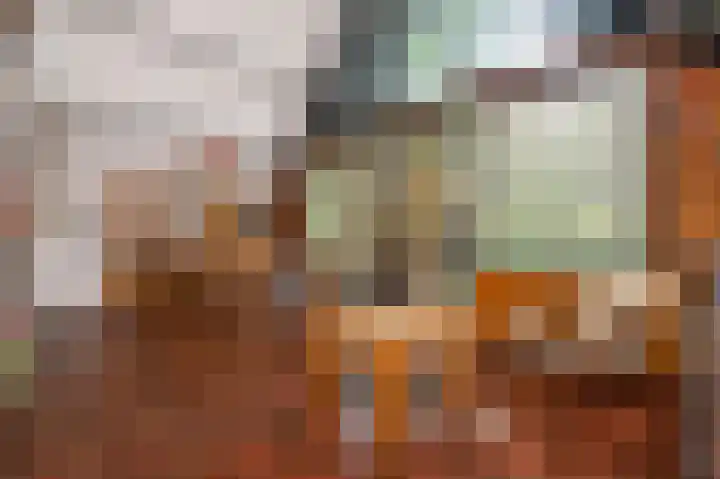 Jonkerstee 60 Ouddorp thumbnail 8