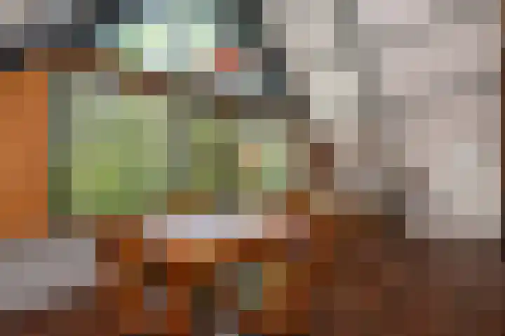 Jonkerstee 60 Ouddorp thumbnail 9