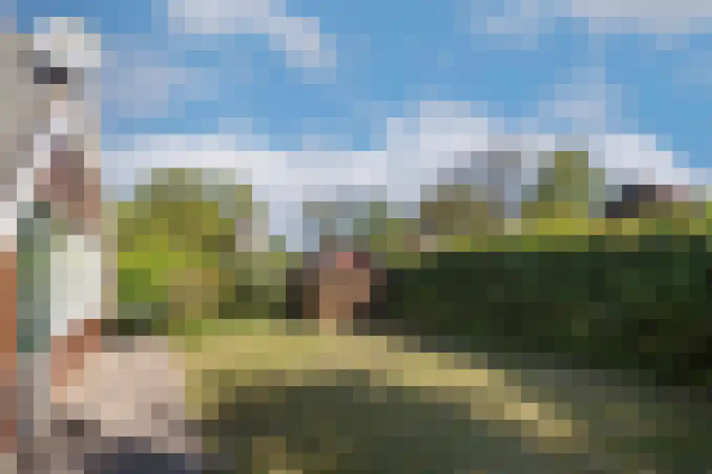 Jonkerstee 73 Ouddorp thumbnail 22