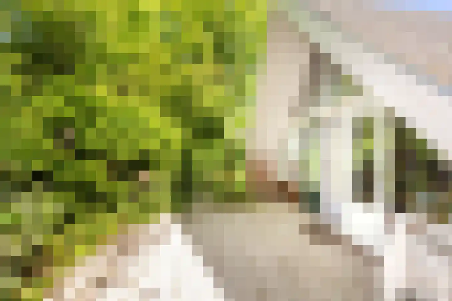 Jonkerstee 73 Ouddorp thumbnail 25