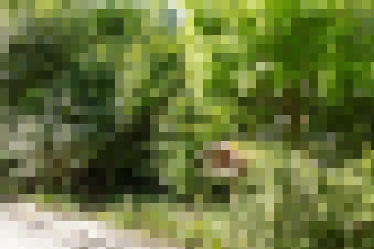 Jonkerstee 73 Ouddorp thumbnail 29