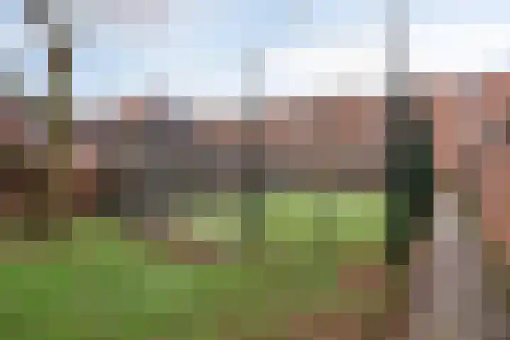 Jonkerstraat 10 Apeldoorn thumbnail 28