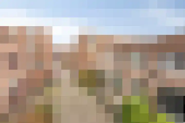 Jonkerstraat 10 Apeldoorn thumbnail 31