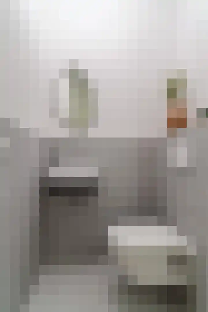 Jonkerstraat 10 's-Hertogenbosch thumbnail 10