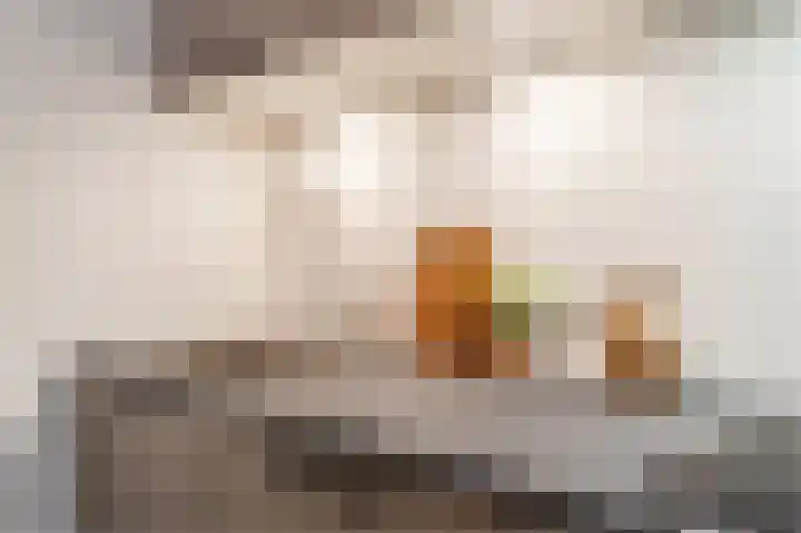 Jonkerstraat 10 's-Hertogenbosch thumbnail 17