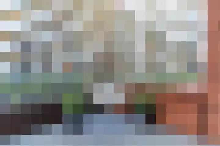Jonkerstraat 10 's-Hertogenbosch thumbnail 5