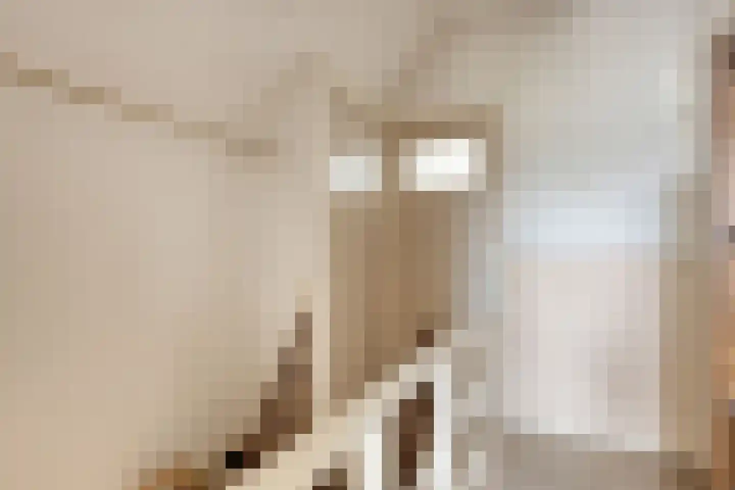 Jonkerstraat 12 Waarland thumbnail 24