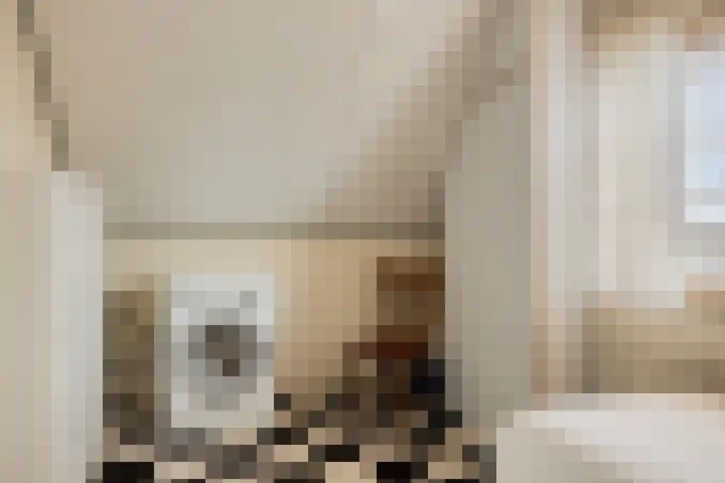 Jonkerstraat 12 Waarland thumbnail 32
