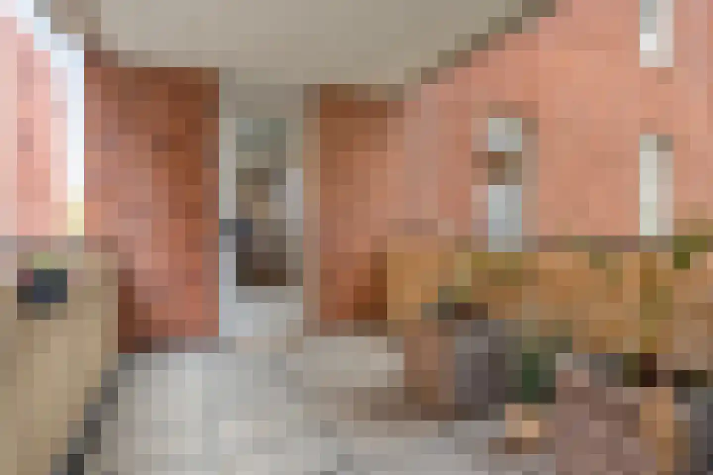 Jonkerstraat 15 's-Hertogenbosch thumbnail 12