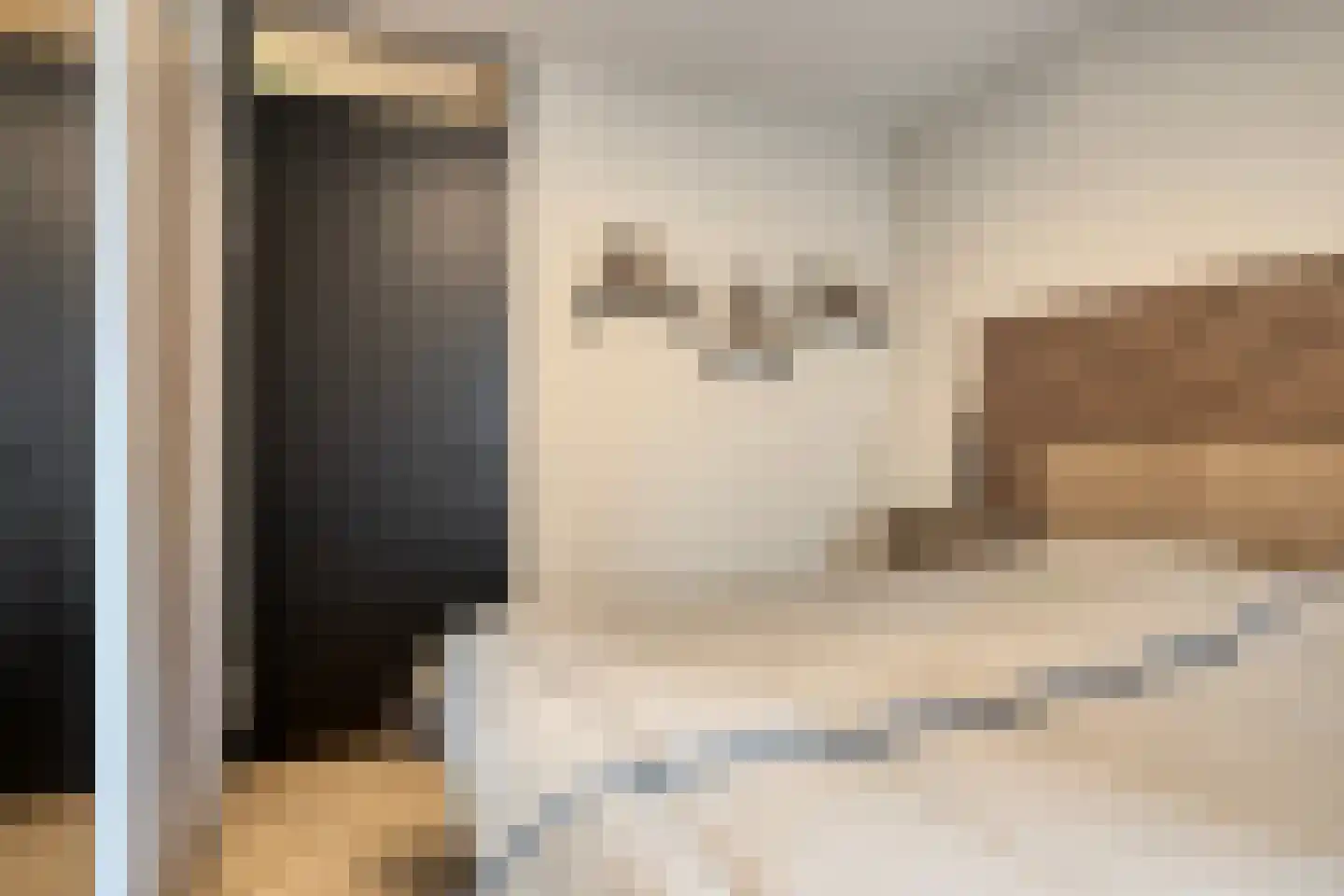 Jonkerstraat 15 's-Hertogenbosch thumbnail 15