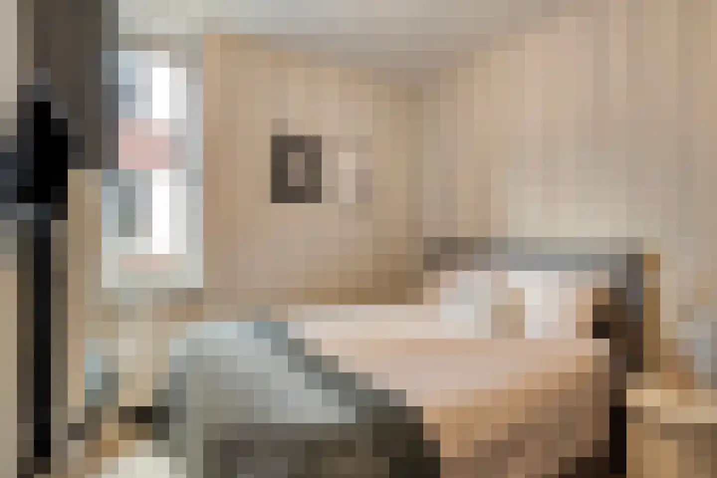 Jonkerstraat 15 's-Hertogenbosch thumbnail 16