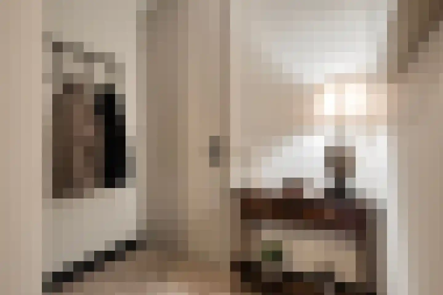 Jonkerstraat 15 's-Hertogenbosch thumbnail 21