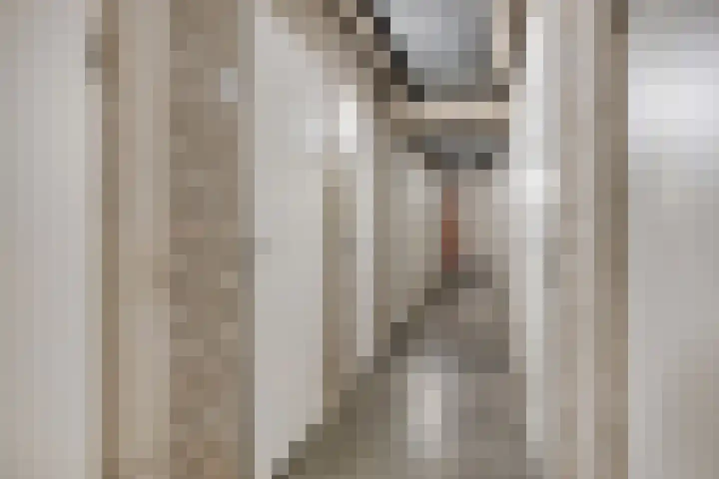 Jonkerstraat 15 's-Hertogenbosch thumbnail 25