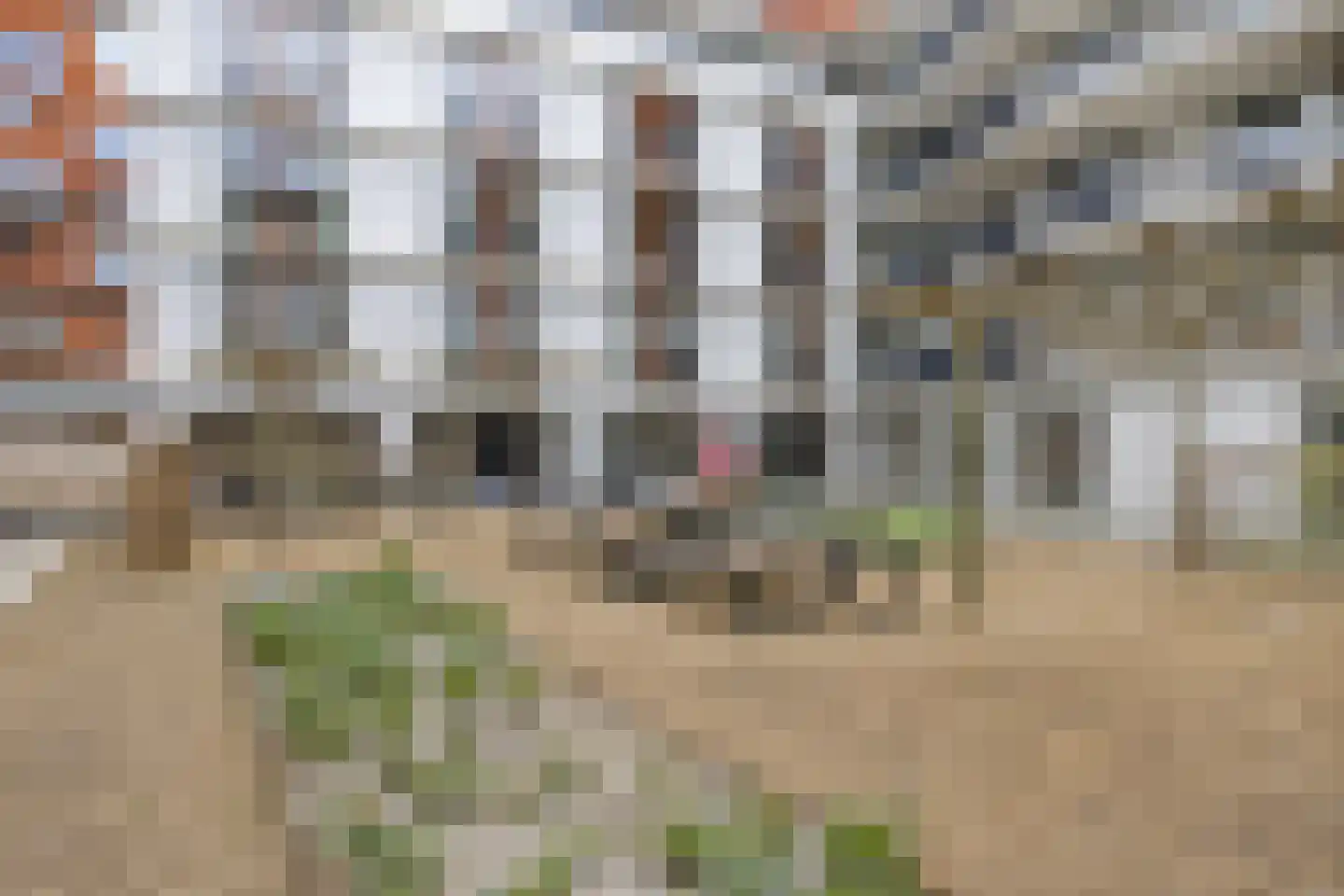 Jonkerstraat 15 's-Hertogenbosch thumbnail 29