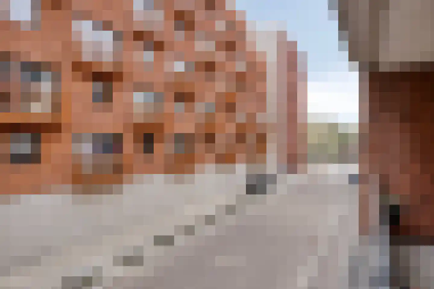 Jonkerstraat 15 's-Hertogenbosch thumbnail 32