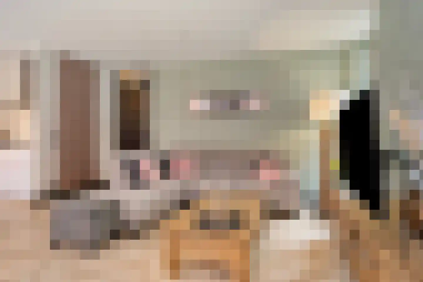 Jonkerstraat 15 's-Hertogenbosch thumbnail 5