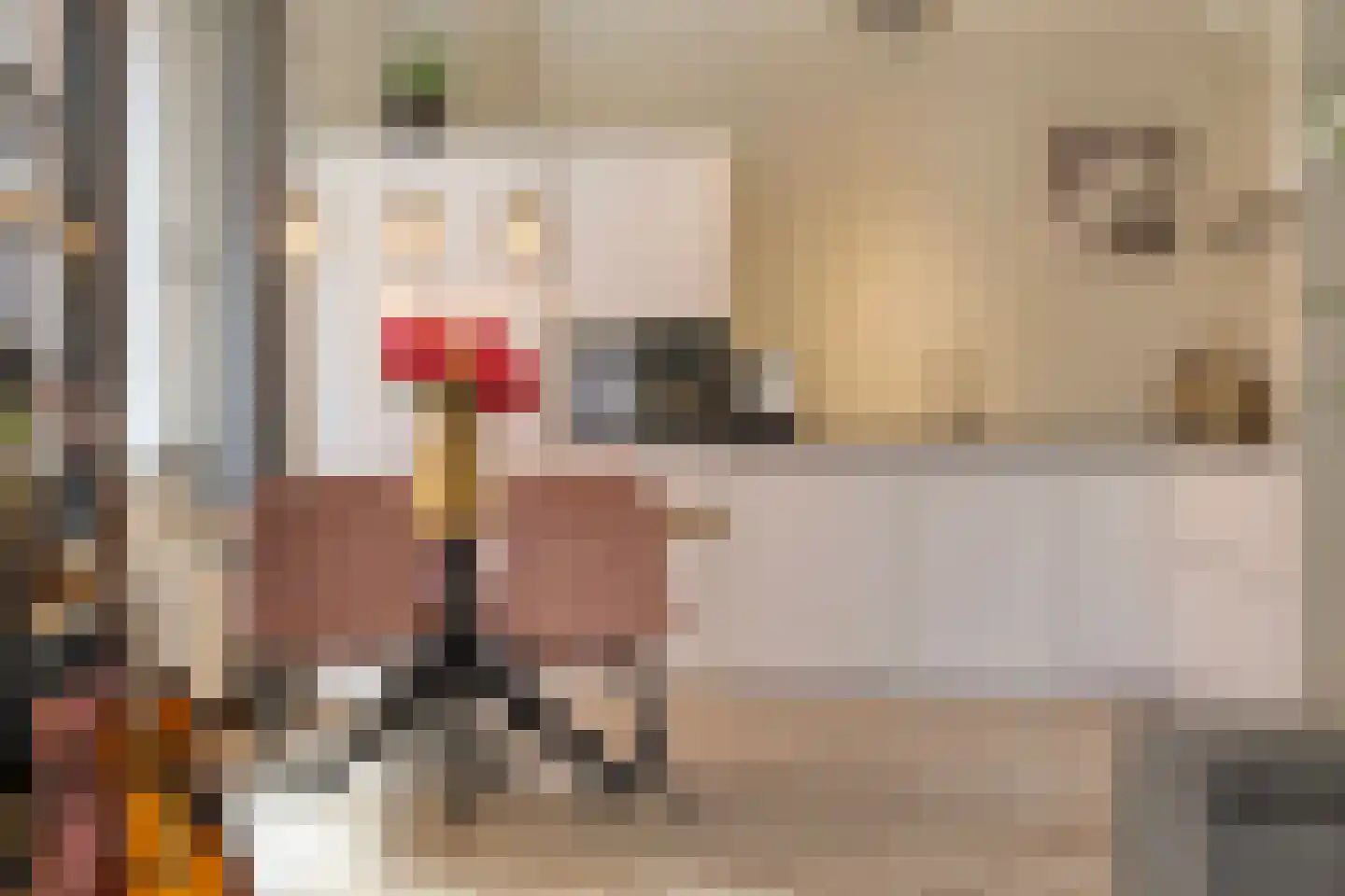 Jonkerstraat 15 's-Hertogenbosch thumbnail 7