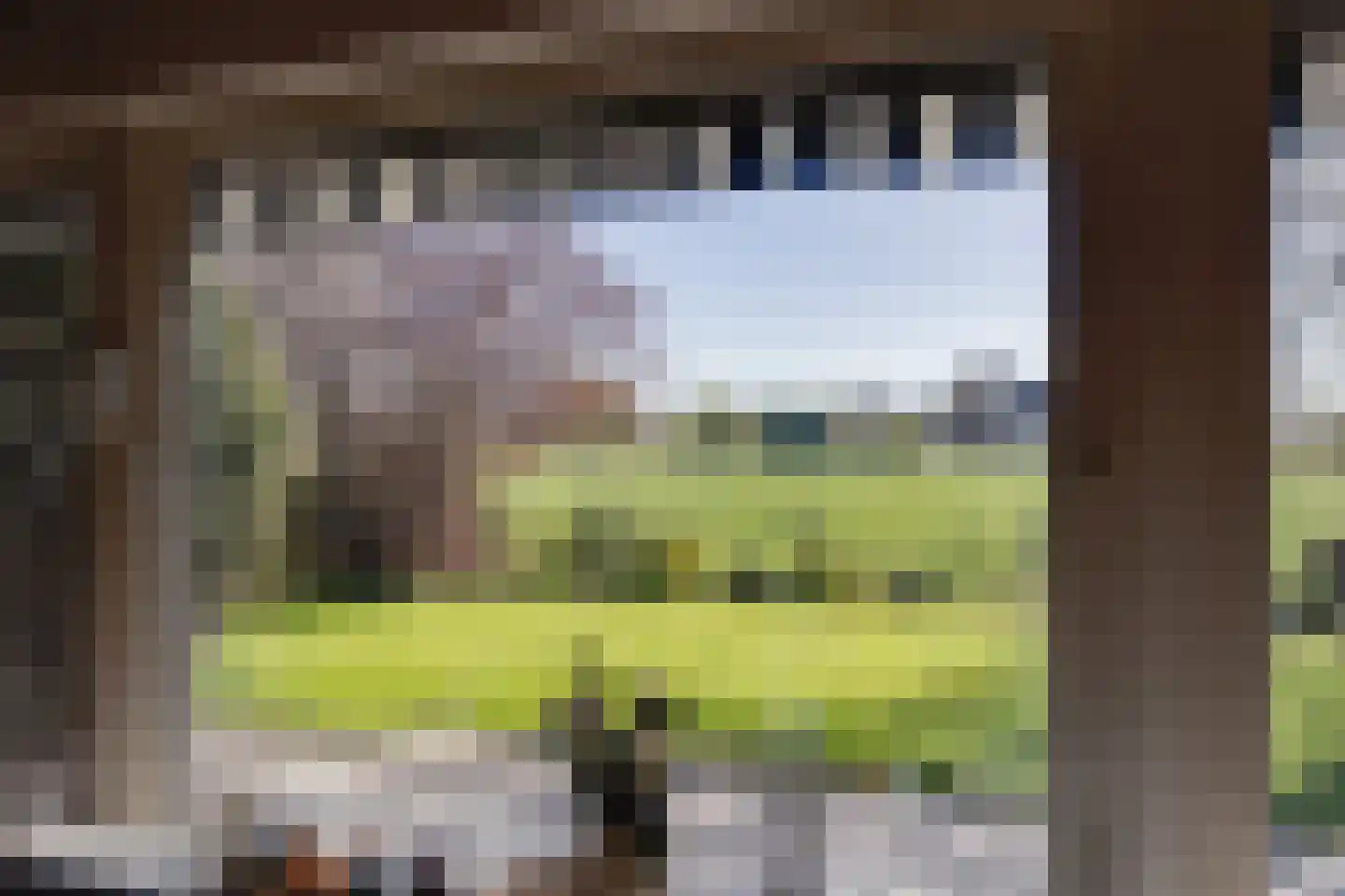 Jonkerstraat 19 Netterden thumbnail 12