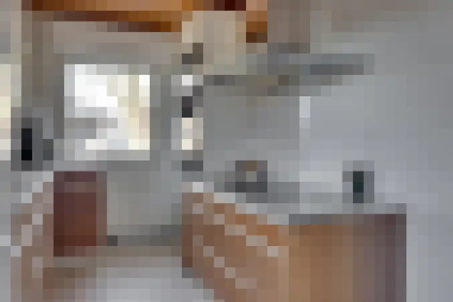 Jonkerstraat 19 Netterden thumbnail 17