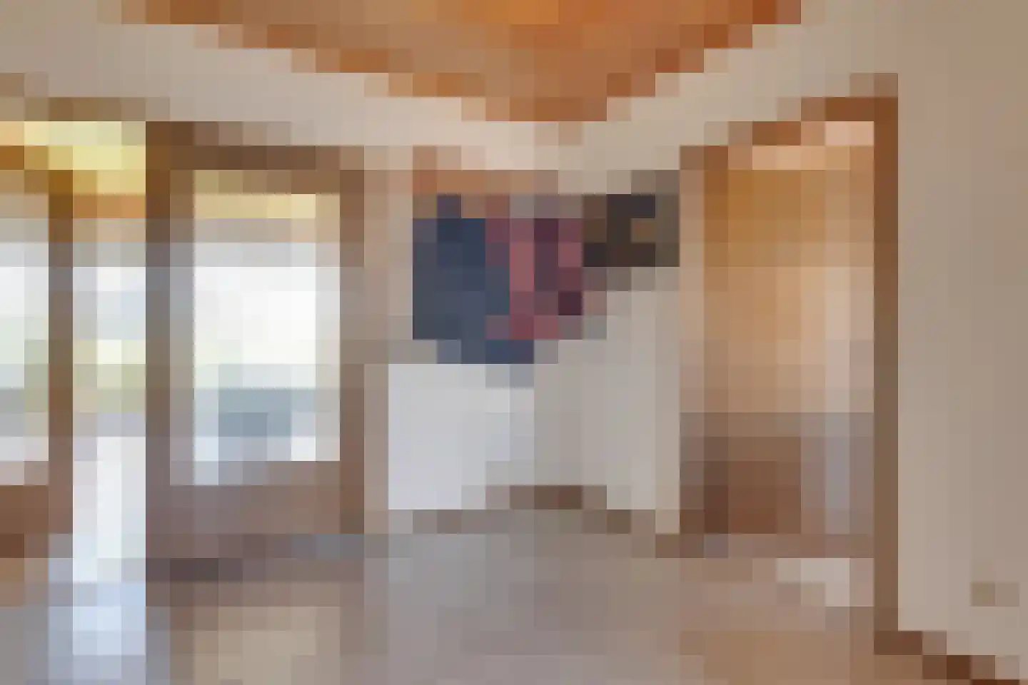 Jonkerstraat 19 Netterden thumbnail 6